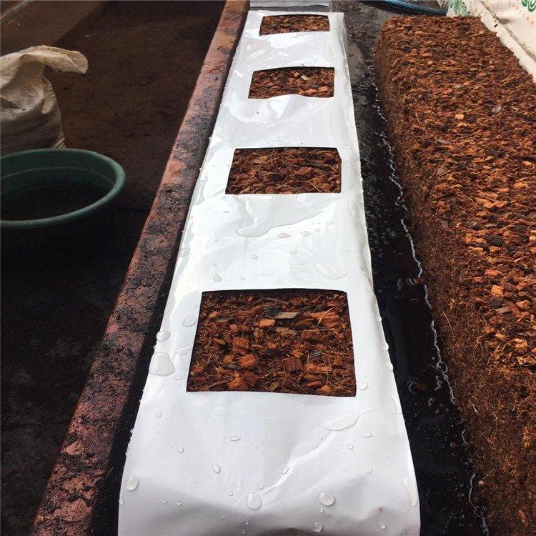Greenhouse Cultivation